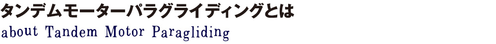 タンデムモーターパラグライディングとは